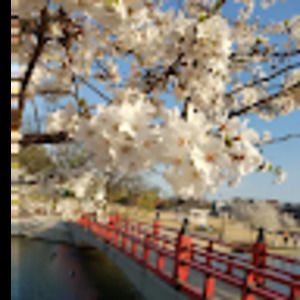 Meet your Posher, Liv